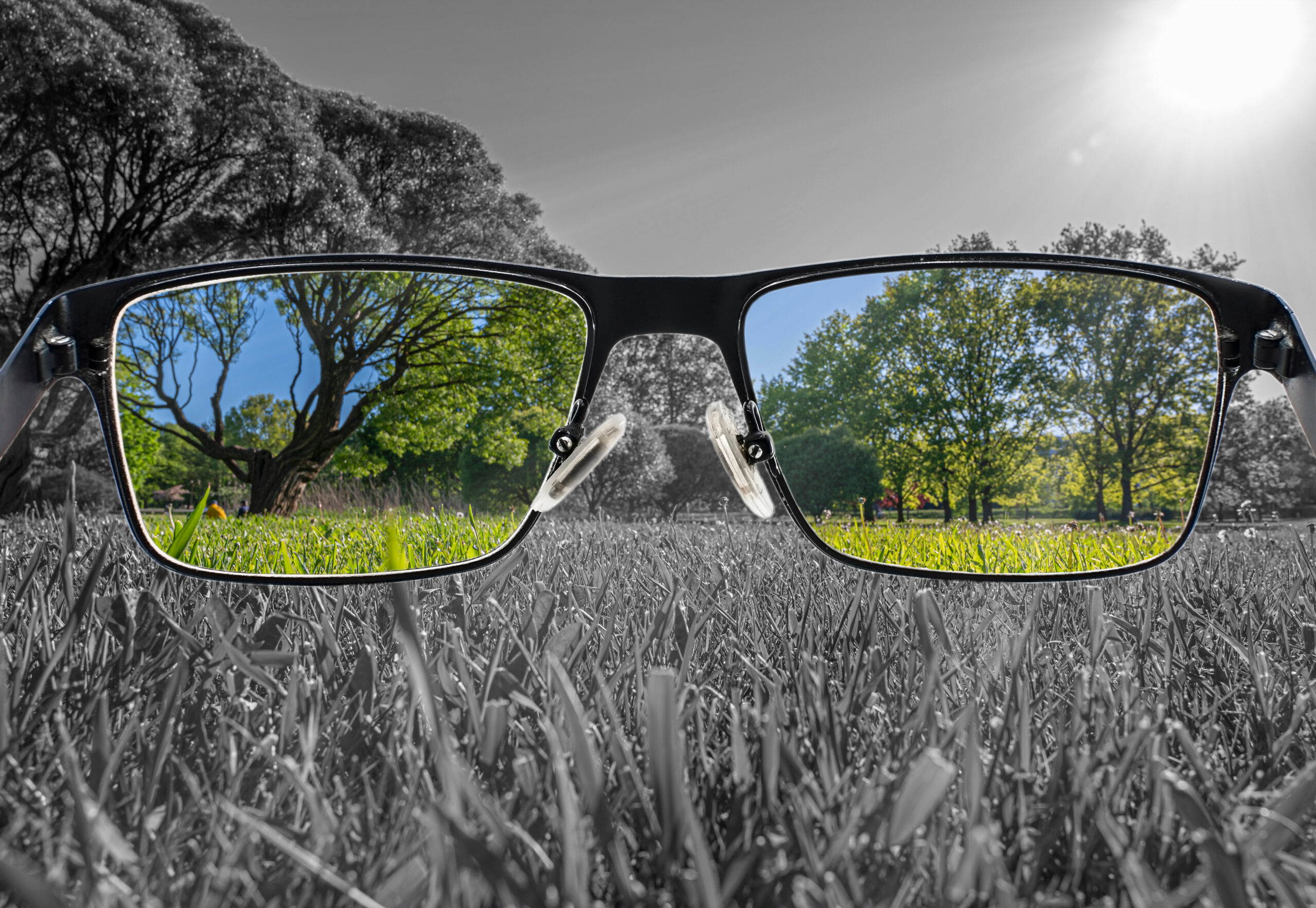 A pair of glasses lies on grass in a park; through the lenses, vibrant colors show green trees and grass, while the rest remains black and white—a reminder of how to change your perspective on life and make a transformation that matters to YOU.