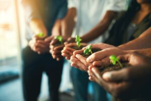 group of individuals stand in line holding a seed sprout.