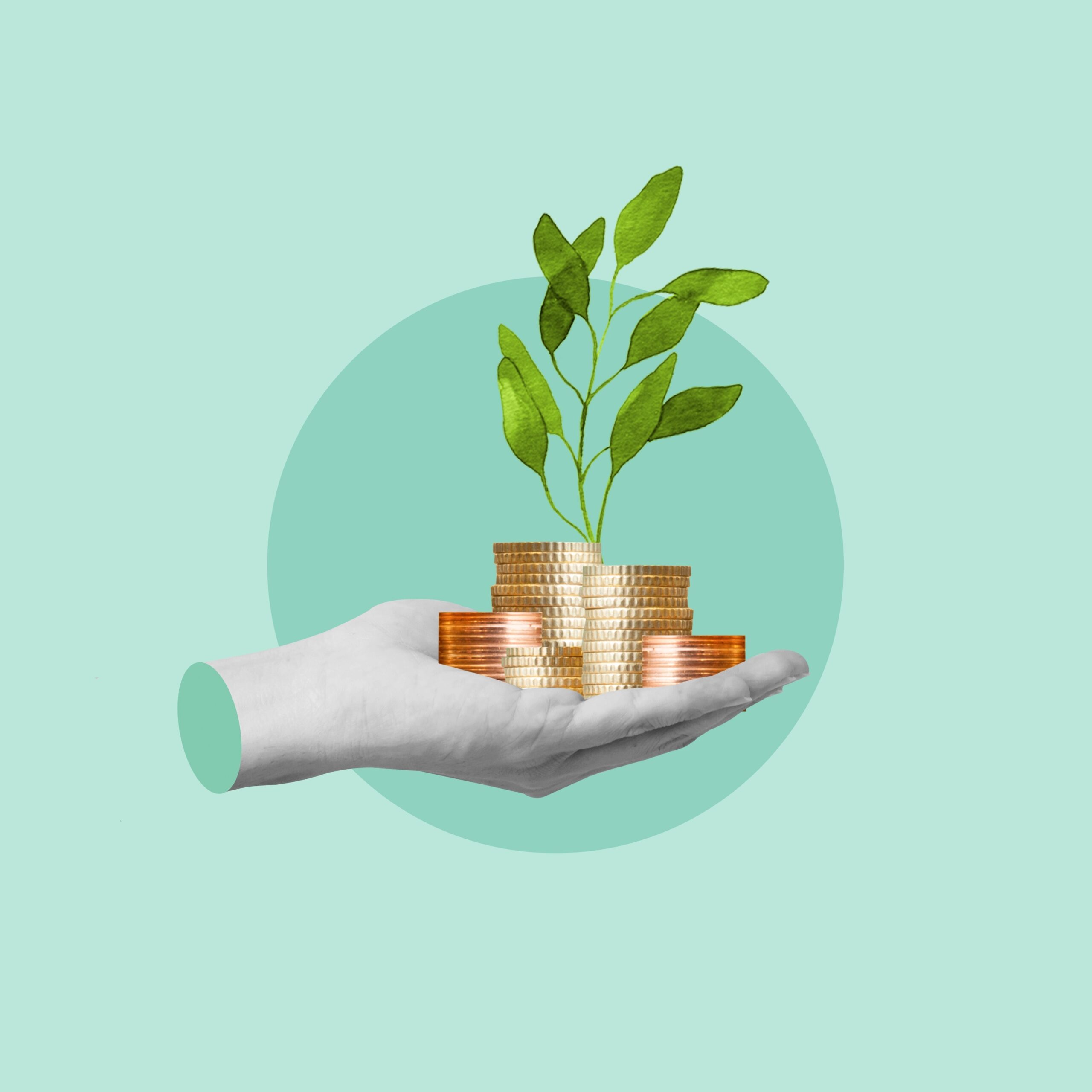 floating gray hand holding gold coins with a seedling sprouting from them