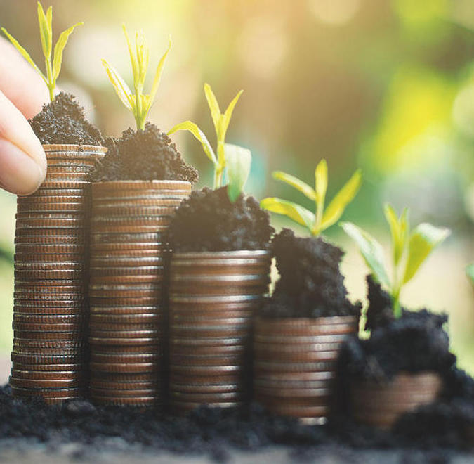 Stacks of coins in ascending order with soil and plants on top, symbolizing financial growth—promoting the Money Mastery Financial Literacy Course, as a hand enriches the tallest stack.